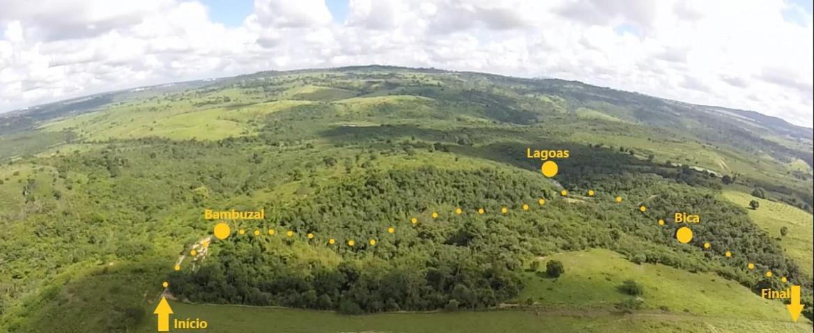 Fazenda Hotel Candeal Conceicao de Jacuipe Zewnętrze zdjęcie