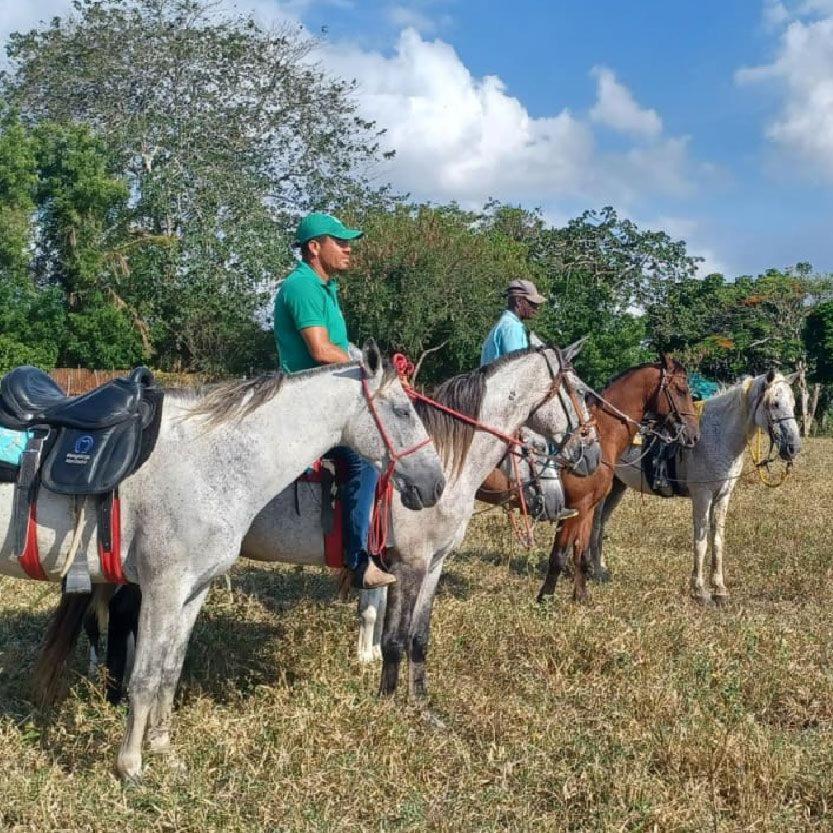 Fazenda Hotel Candeal Conceicao de Jacuipe Zewnętrze zdjęcie